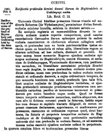 Charter 00640297