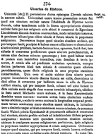 Charter 00910374