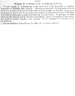 Charter 03770412