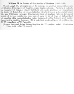 Charter 03770481