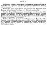 Charter 05910046